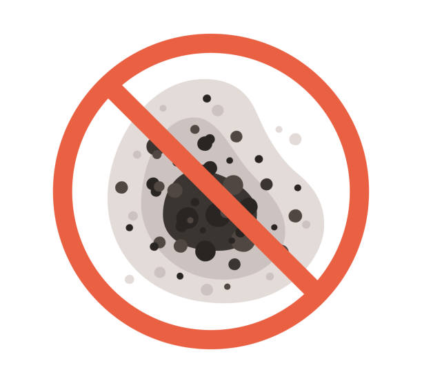 Best Airborne Mold Testing  in Smithers, WV